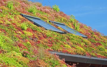 Lambfair Green living roof systems