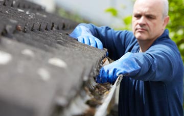 cleaning and inspecting Lambfair Green roofs
